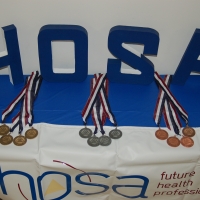 HOSA 2013